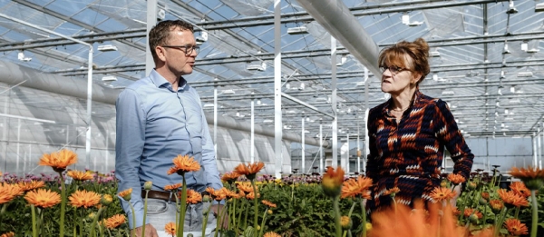 Westland pakt misstanden op de arbeidsmarkt aan &ndash; met resultaat