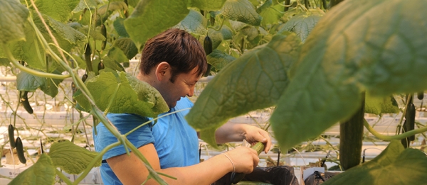 CAO nieuws - Voorjaar 2025